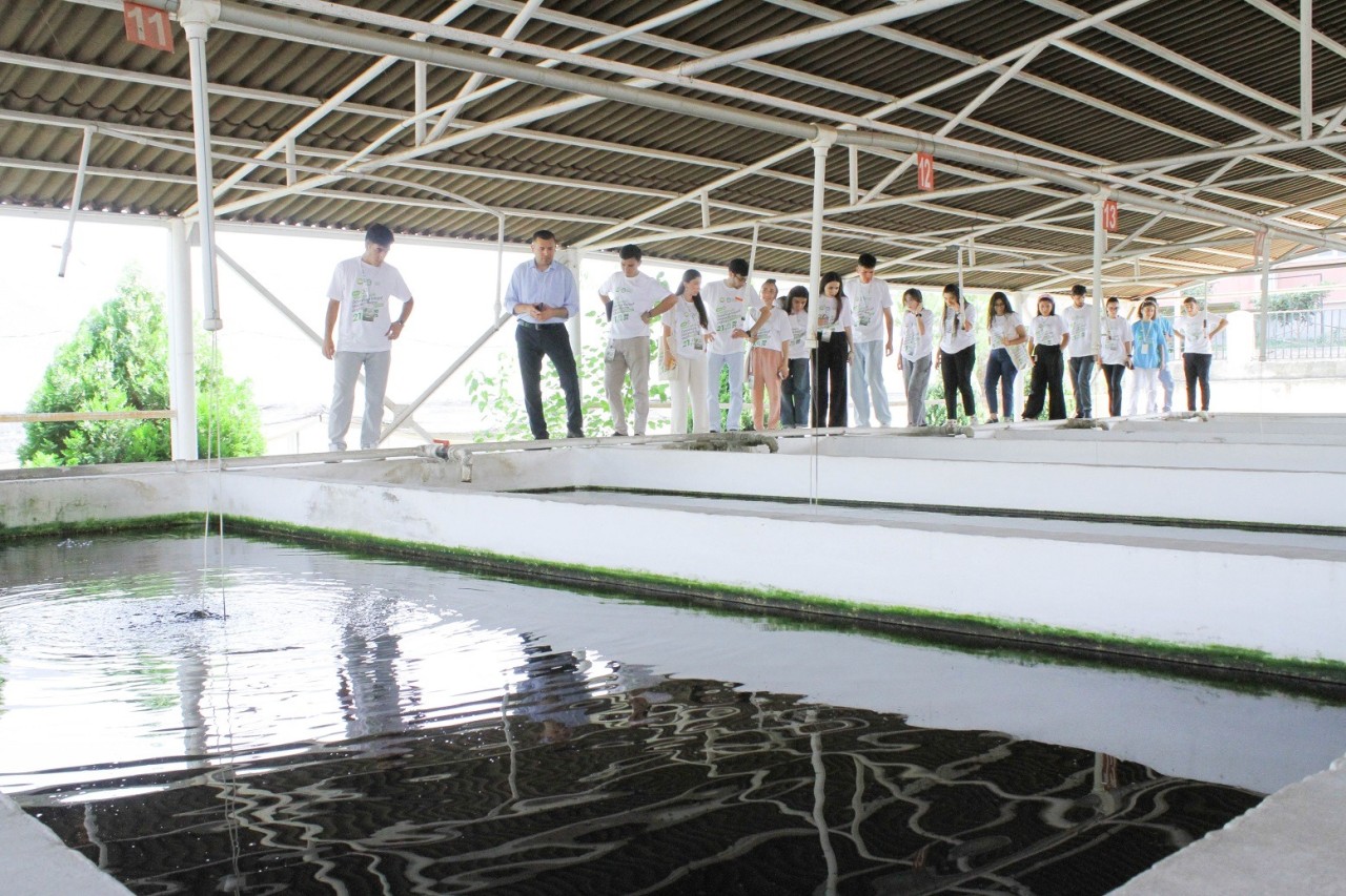 ADAU-da yay məktəbi davam edir - FOTOLAR